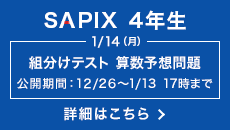 SAPIX 4NgeXgZ\z